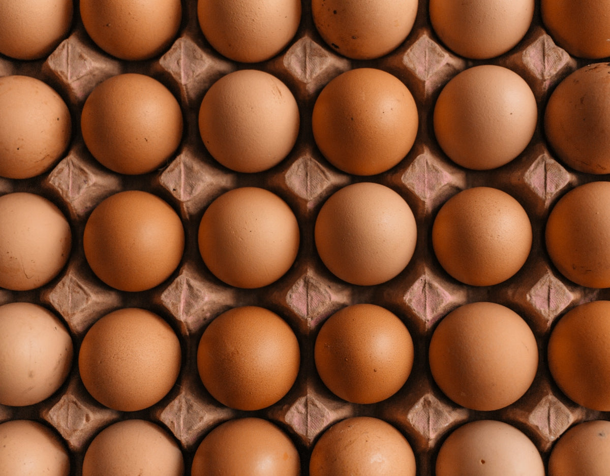A grid of brown chicken eggs in a molded cardboard carton